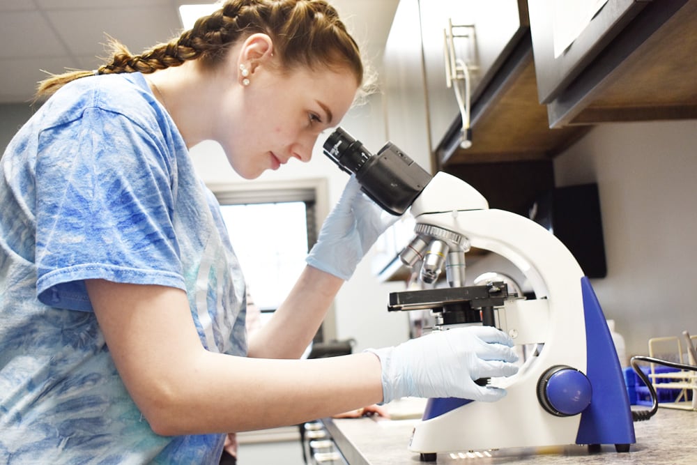 Medical Assisting student examining specimen under microscope