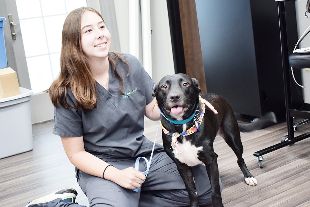 Veterinary Assisting student crouched down with dog