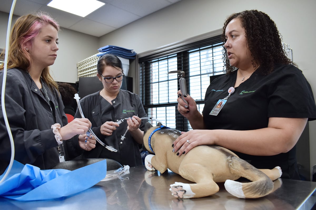 Caris College Veterinary Assisting students with instructor