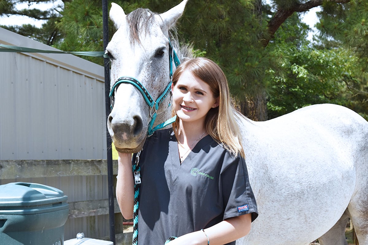 Caris College Veterinary Assisting student walking horse