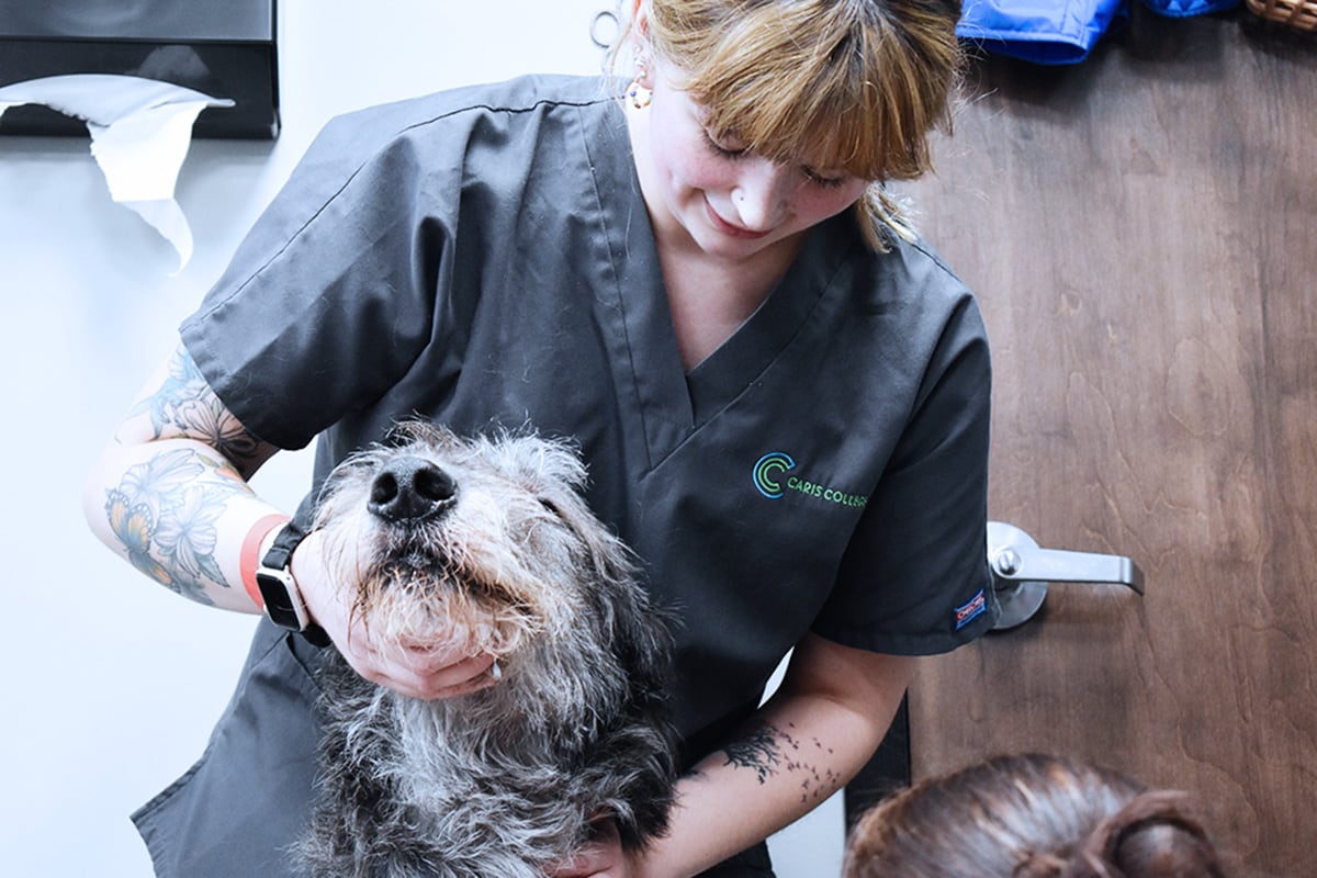 Caris College Veterinary Assisting student examining dog